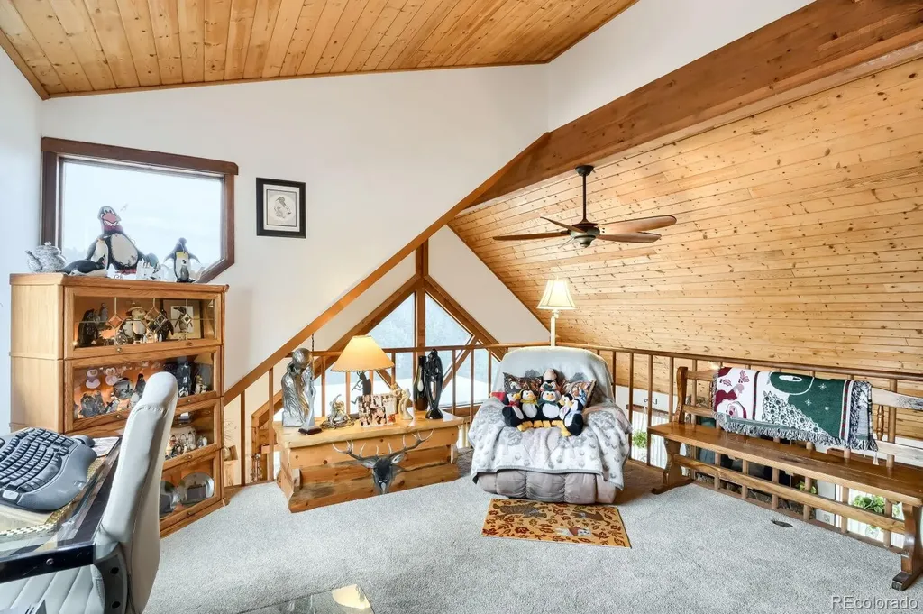 497 Woodside Drive Pine CO 80470
