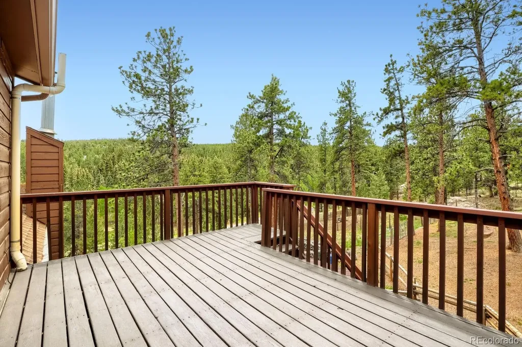 497 Woodside Drive Pine CO 80470