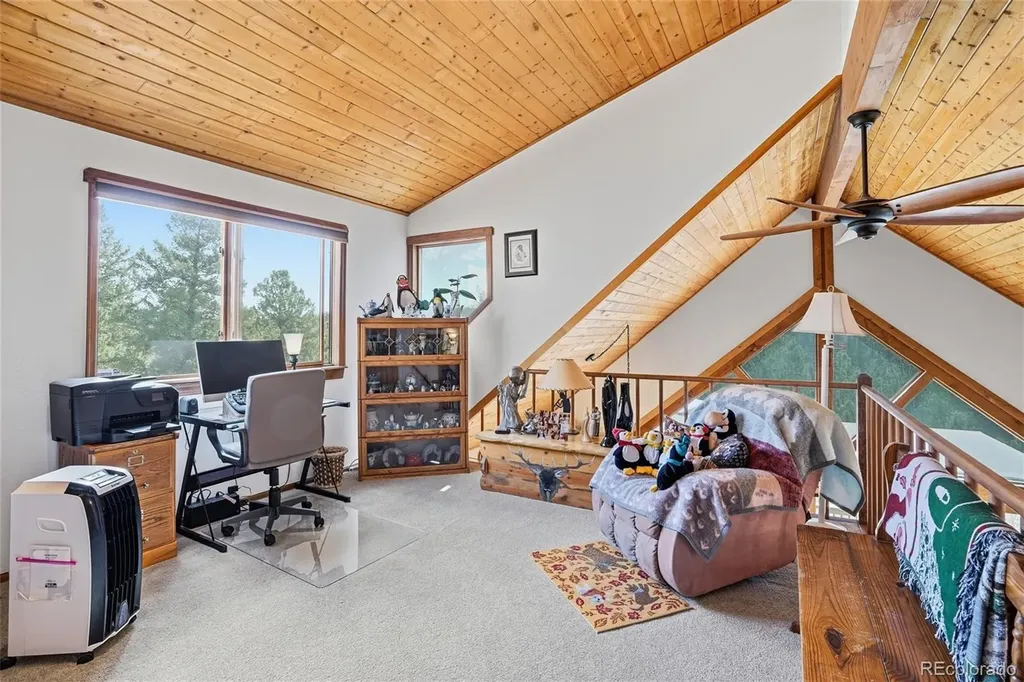 497 Woodside Drive Pine CO 80470