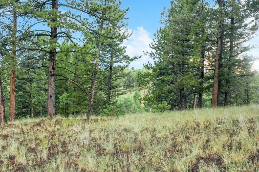 131 Lost Lake Circle Divide CO 80814
