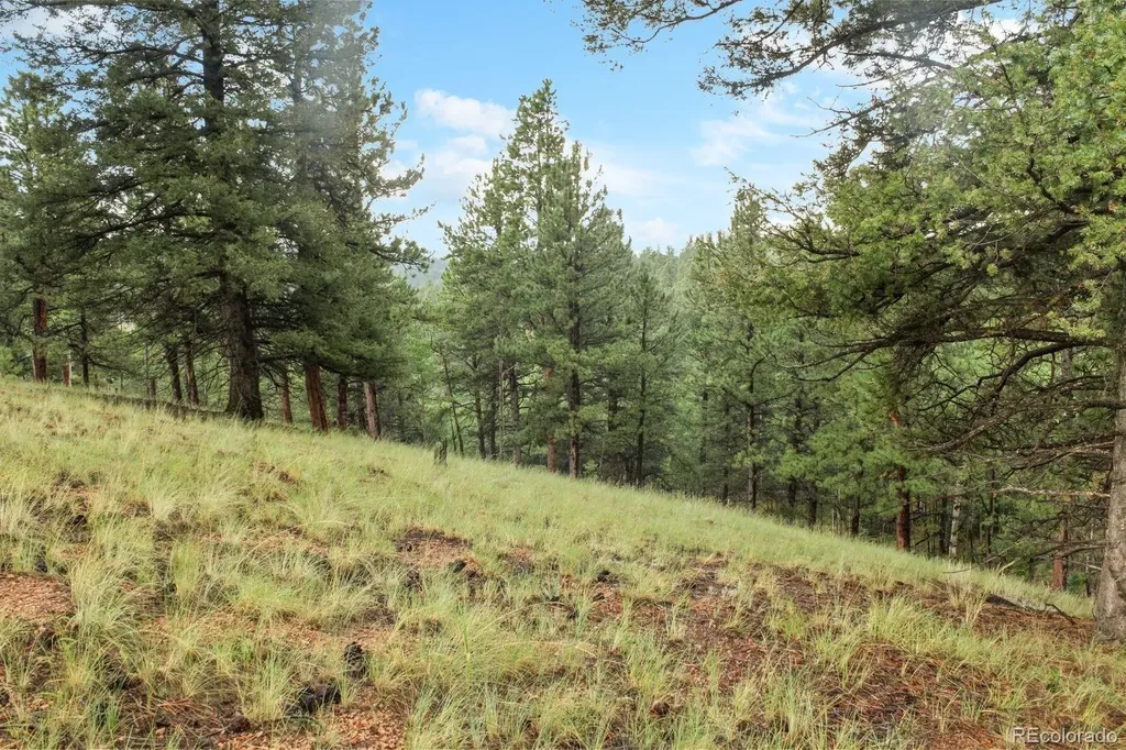 131 Lost Lake Circle Divide CO 80814