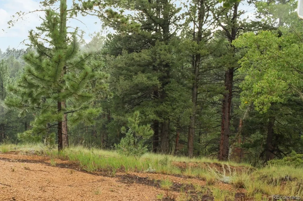 131 Lost Lake Circle Divide CO 80814