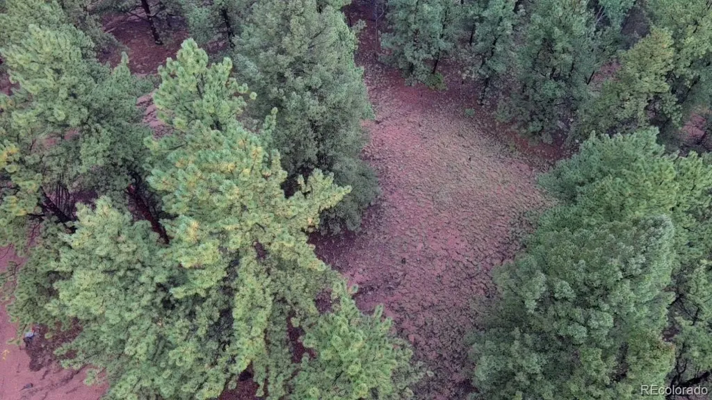 131 Lost Lake Circle Divide CO 80814