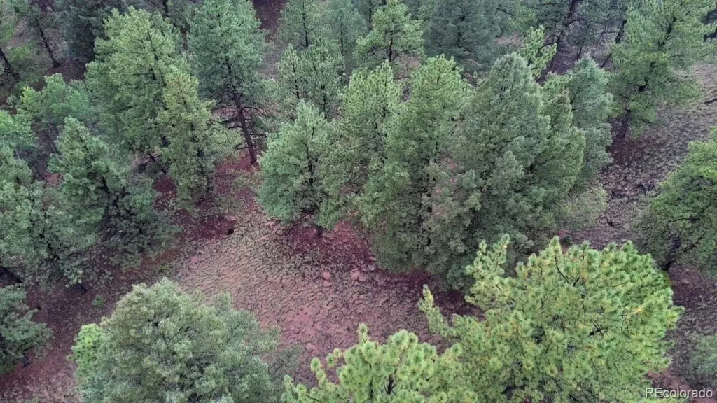 131 Lost Lake Circle Divide CO 80814