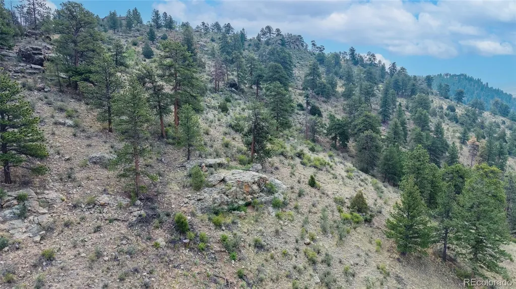 13990 Pine Valley Road Pine CO 80470