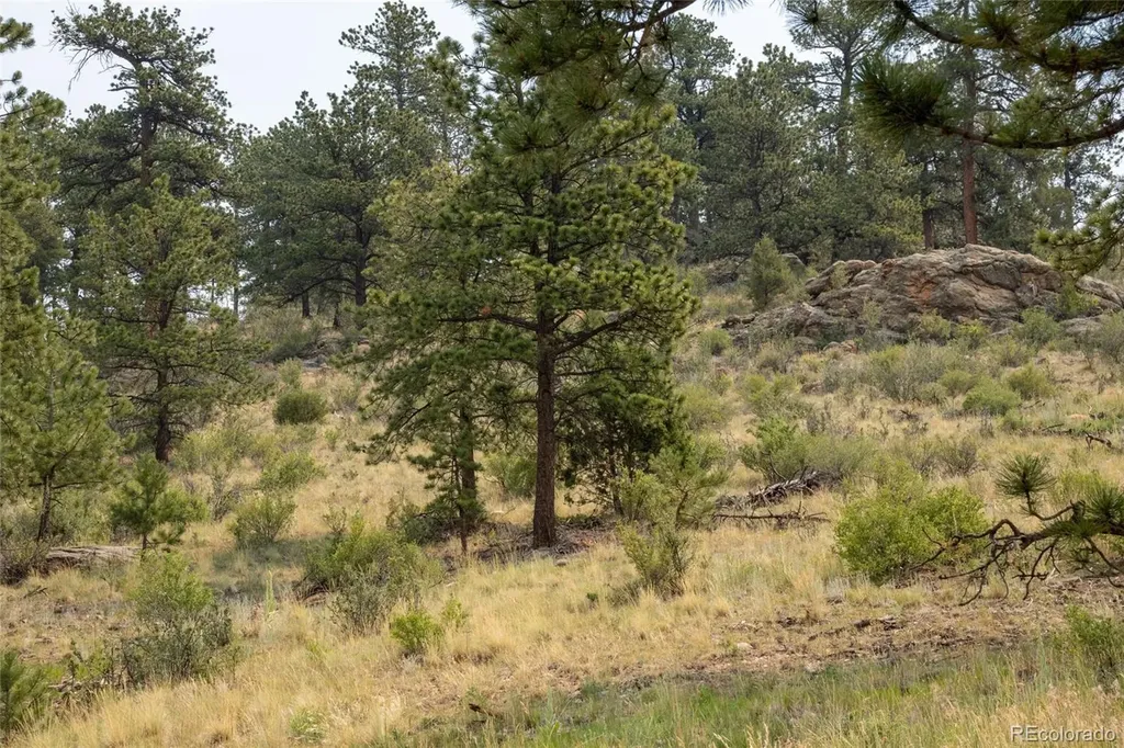 13990 Pine Valley Road Pine CO 80470