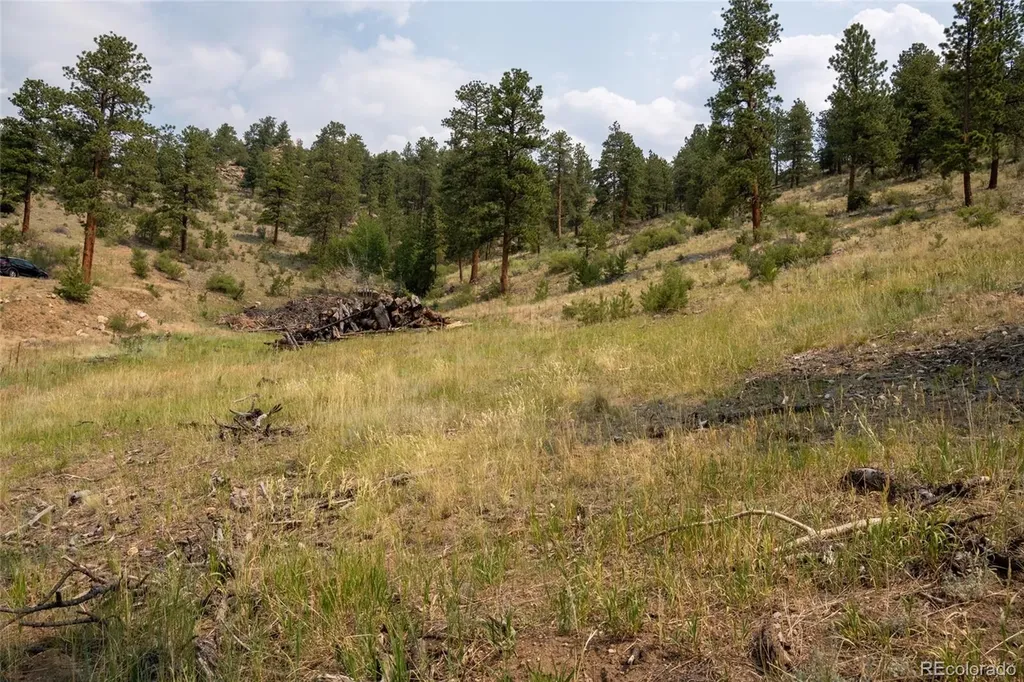 13990 Pine Valley Road Pine CO 80470