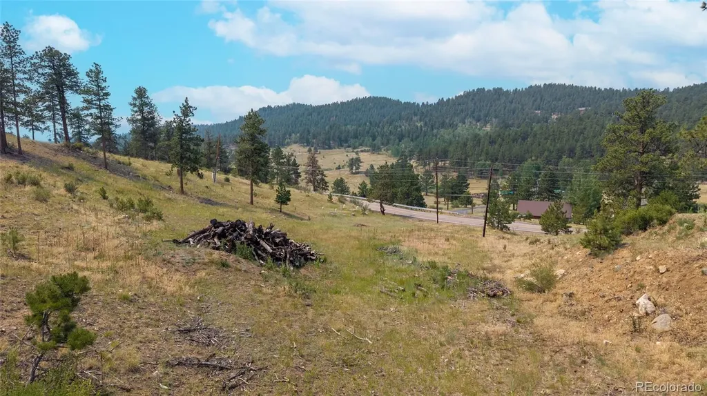 13990 Pine Valley Road Pine CO 80470