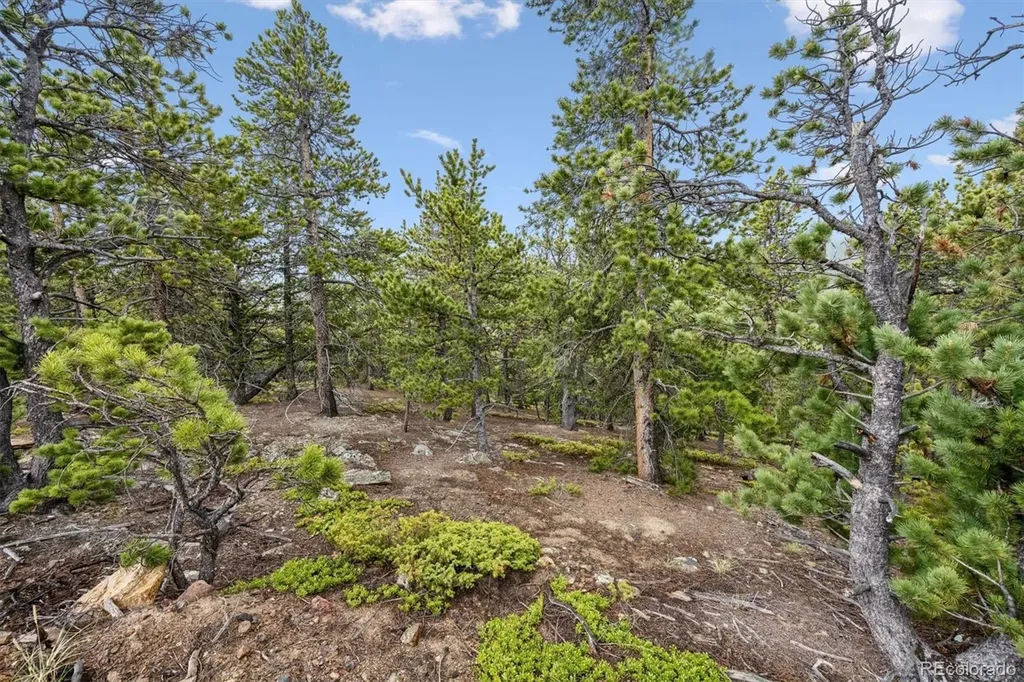257 Sunny Skies Trail Idaho Springs CO 80452