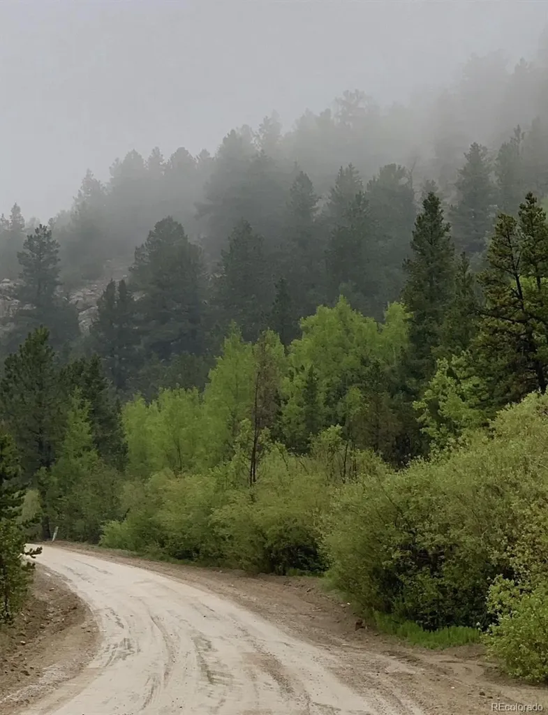 257 Sunny Skies Trail Idaho Springs CO 80452