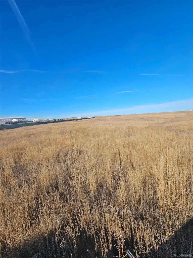 20243 Sherman Lane Ordway CO 81076