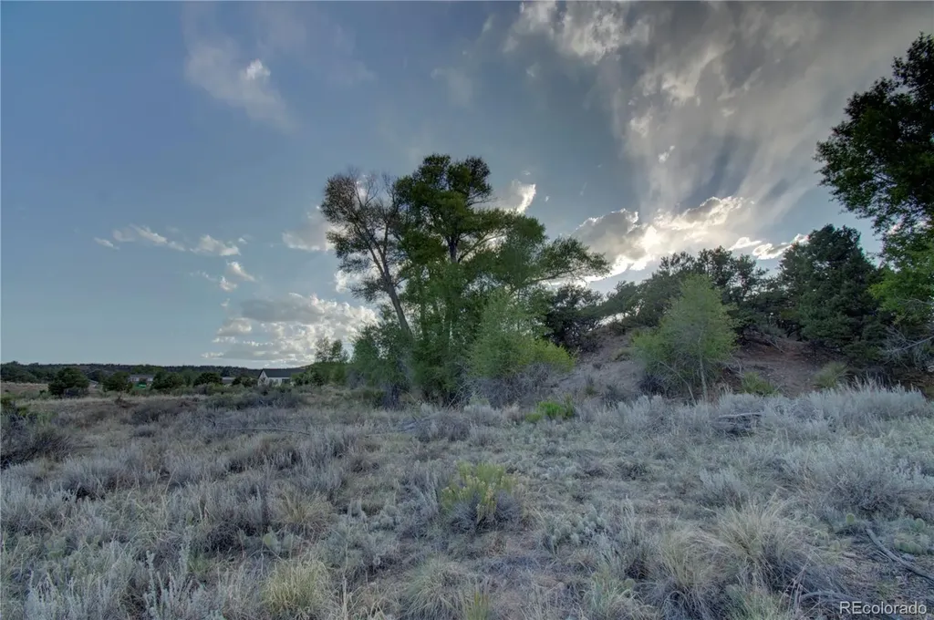 9773 Arroyo Drive Salida CO 81201