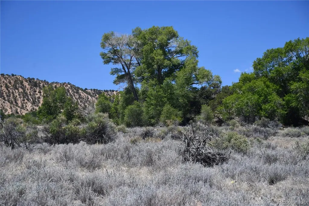 9773 Arroyo Drive Salida CO 81201
