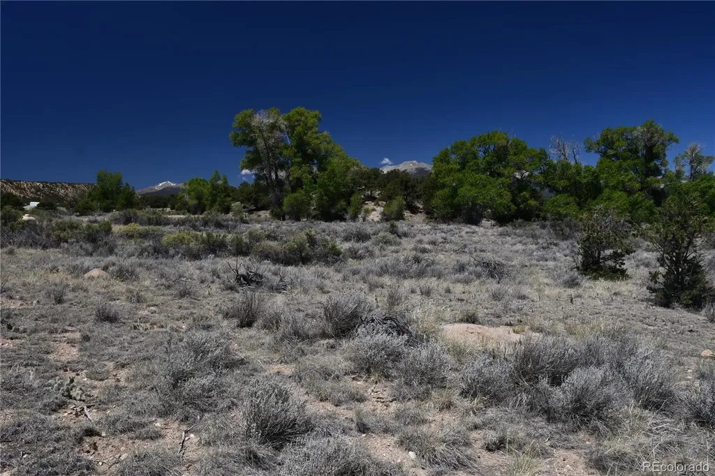 9773 Arroyo Drive Salida CO 81201