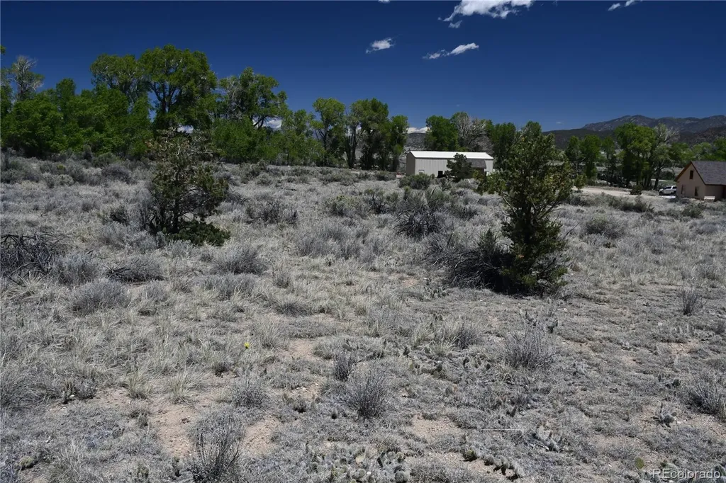 9773 Arroyo Drive Salida CO 81201