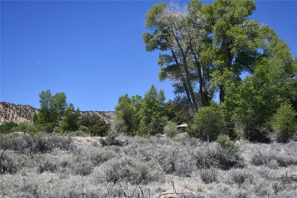 9773 Arroyo Drive Salida CO 81201