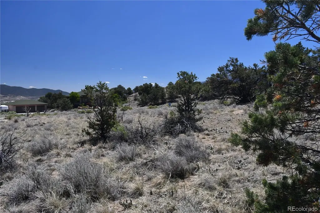 9773 Arroyo Drive Salida CO 81201