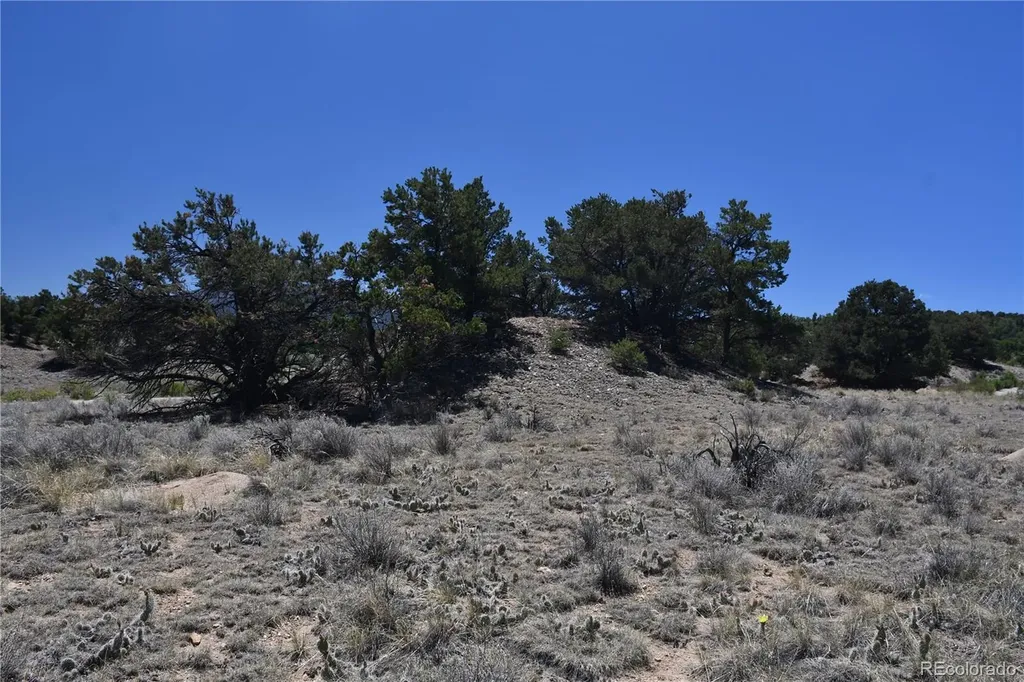 9773 Arroyo Drive Salida CO 81201