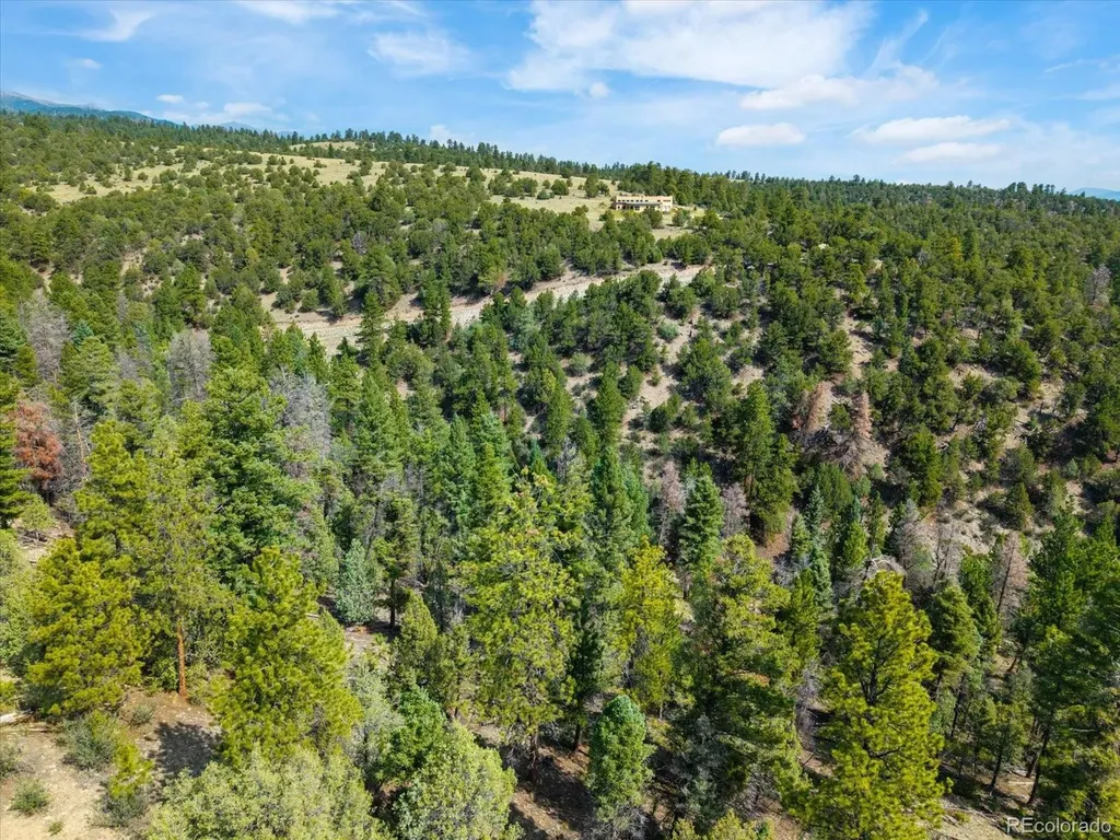 13000 County Road 251 Salida CO 81201