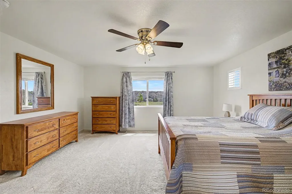 4451 Mcmurdo Court Castle Rock CO 80108