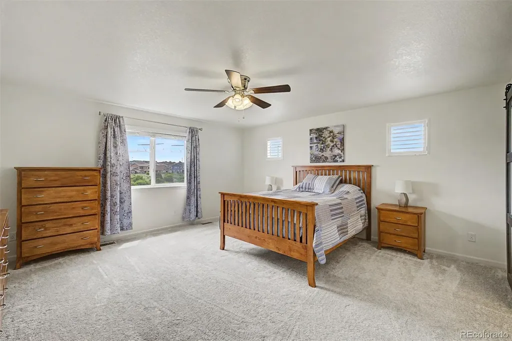 4451 Mcmurdo Court Castle Rock CO 80108