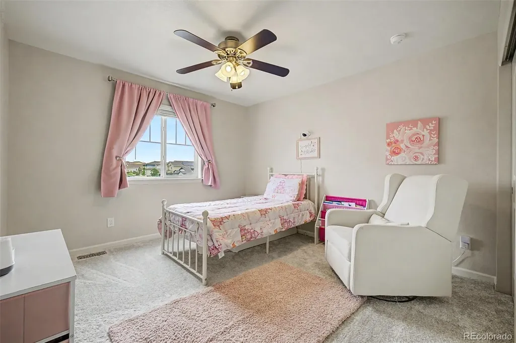 4451 Mcmurdo Court Castle Rock CO 80108