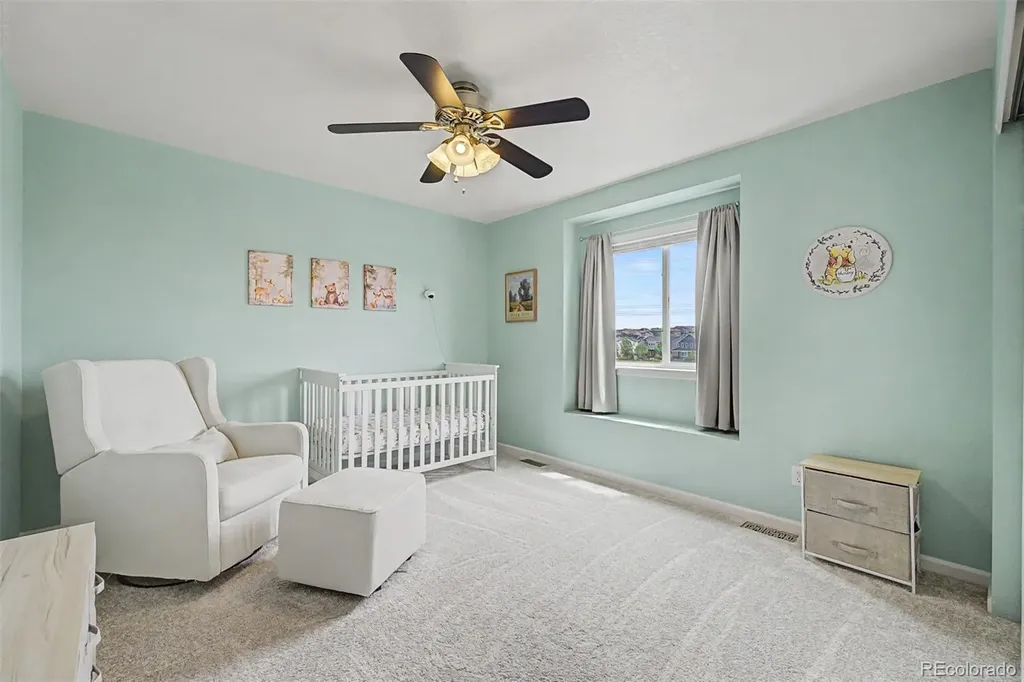 4451 Mcmurdo Court Castle Rock CO 80108