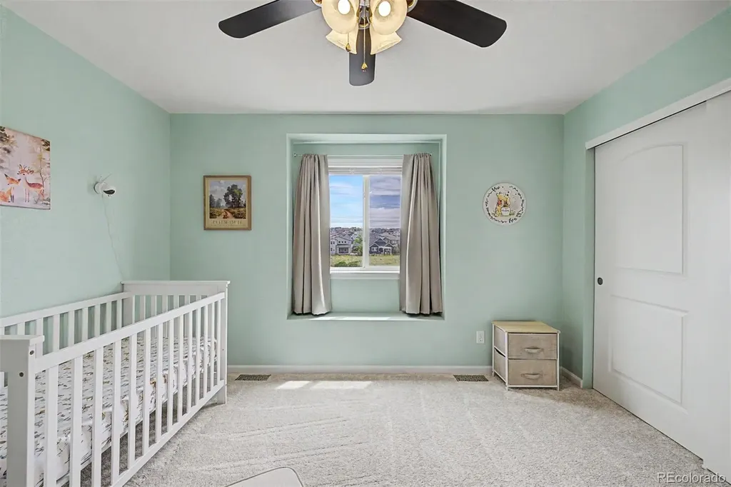 4451 Mcmurdo Court Castle Rock CO 80108