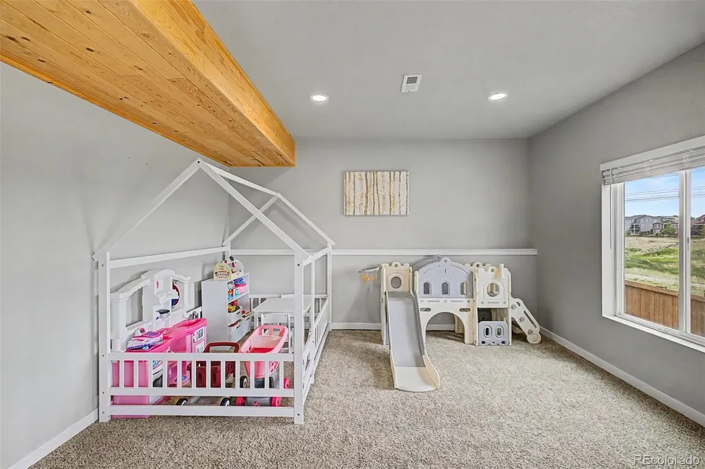 4451 Mcmurdo Court Castle Rock CO 80108