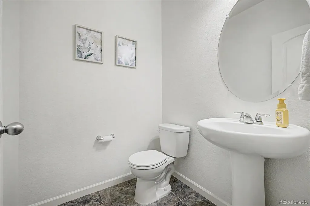 4451 Mcmurdo Court Castle Rock CO 80108