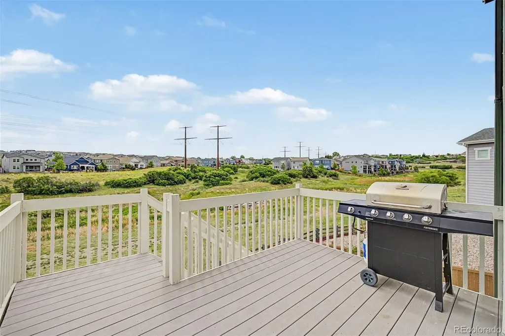 4451 Mcmurdo Court Castle Rock CO 80108