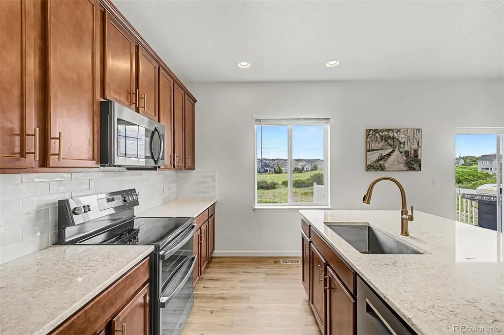 4451 Mcmurdo Court Castle Rock CO 80108