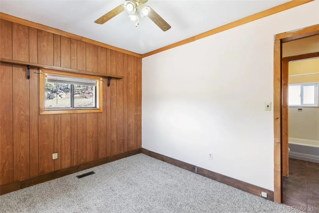 272 Spring Valley Trail Florissant CO 80816