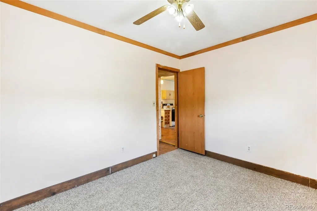 272 Spring Valley Trail Florissant CO 80816