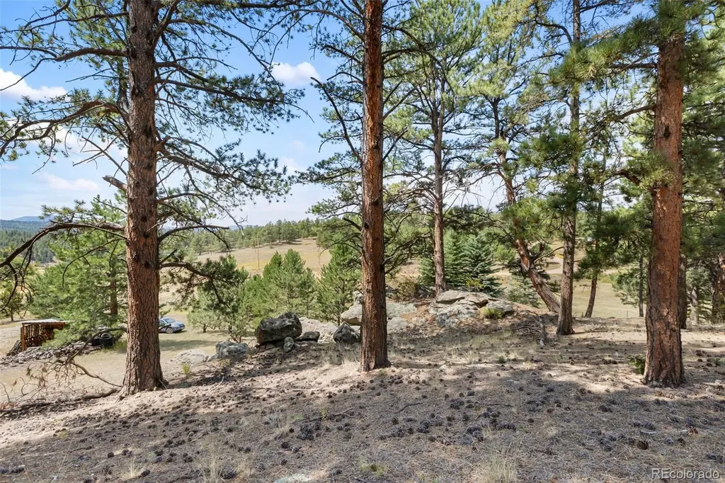 272 Spring Valley Trail Florissant CO 80816