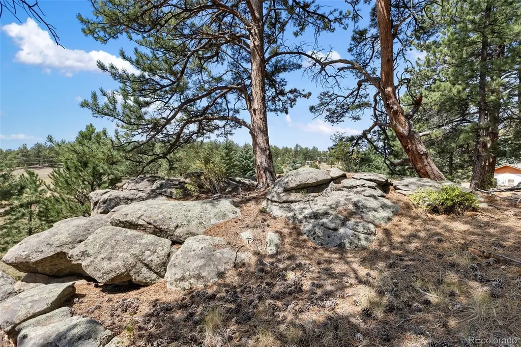 272 Spring Valley Trail Florissant CO 80816