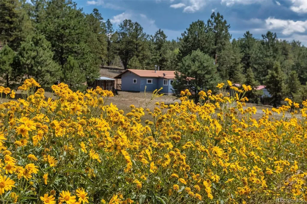272 Spring Valley Trail Florissant CO 80816