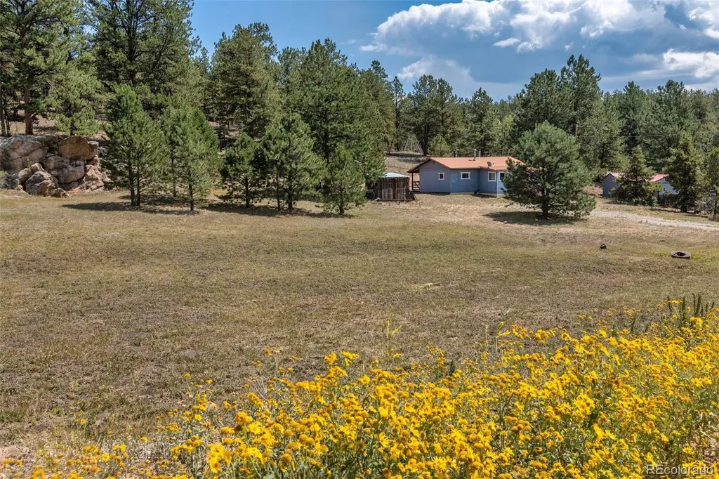 272 Spring Valley Trail Florissant CO 80816