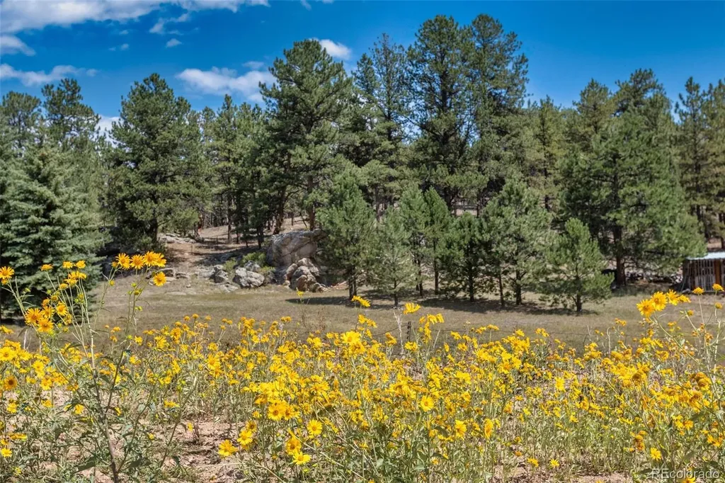 272 Spring Valley Trail Florissant CO 80816