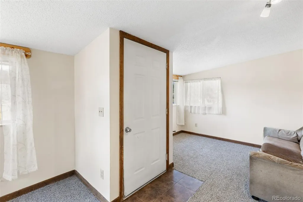 272 Spring Valley Trail Florissant CO 80816