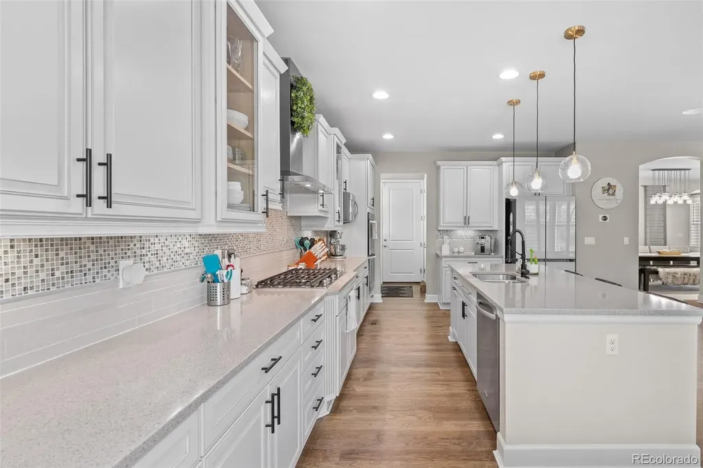 4133 Zodiac Place Castle Rock CO 80109
