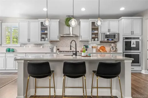 4133 Zodiac Place Castle Rock CO 80109