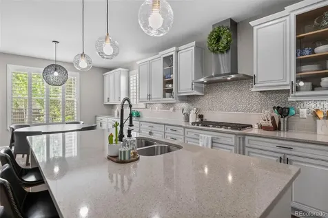 4133 Zodiac Place Castle Rock CO 80109