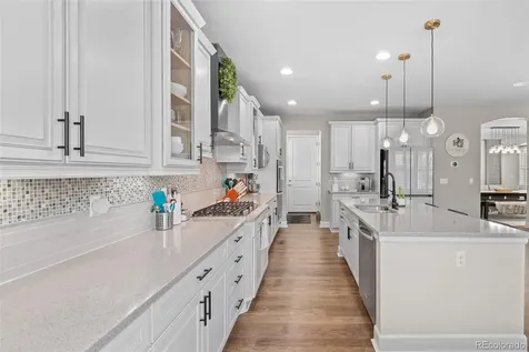 4133 Zodiac Place Castle Rock CO 80109