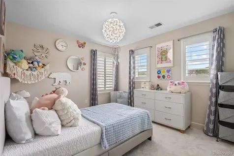 4133 Zodiac Place Castle Rock CO 80109