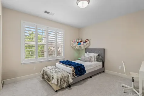 4133 Zodiac Place Castle Rock CO 80109