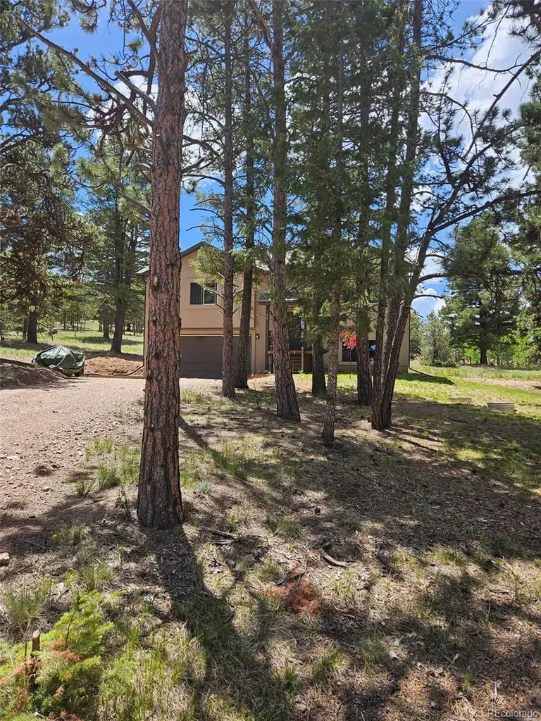 24 Big Horn Circle Florissant CO 80816