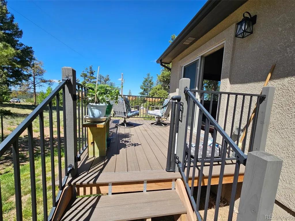24 Big Horn Circle Florissant CO 80816