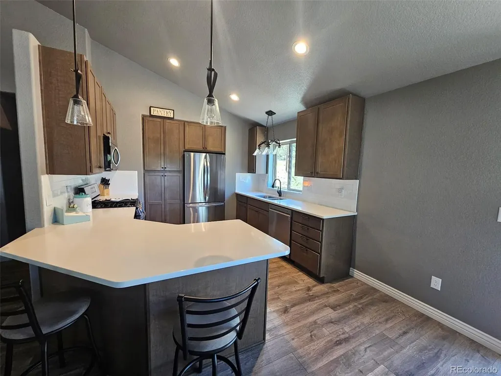 24 Big Horn Circle Florissant CO 80816