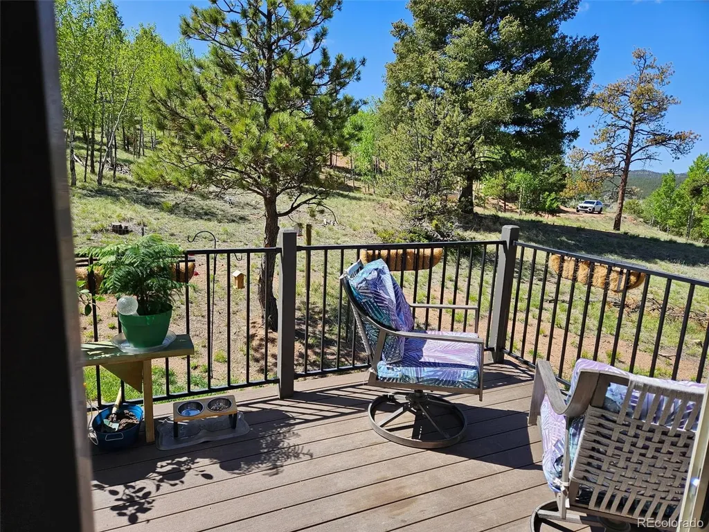 24 Big Horn Circle Florissant CO 80816